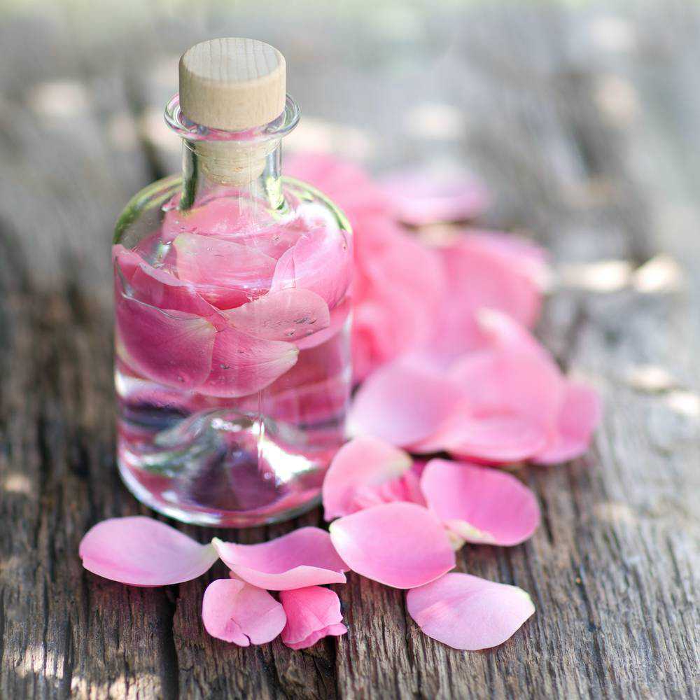 Parfum 🌸
